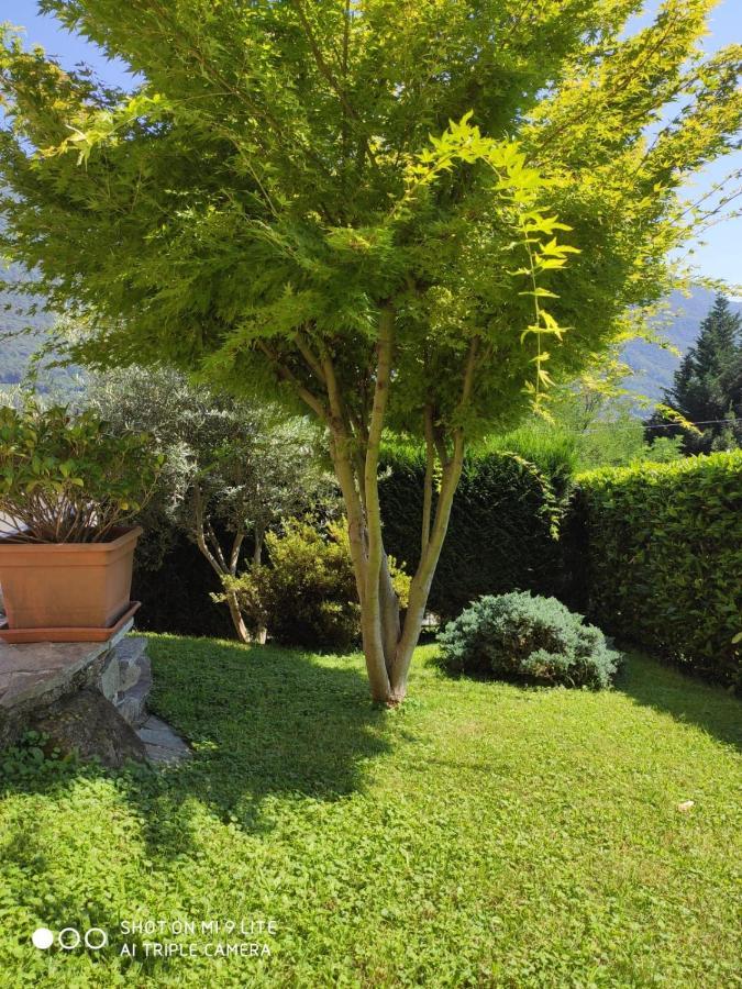 Casa Vacanza Il Glicine Casale Corte Cerro Zewnętrze zdjęcie